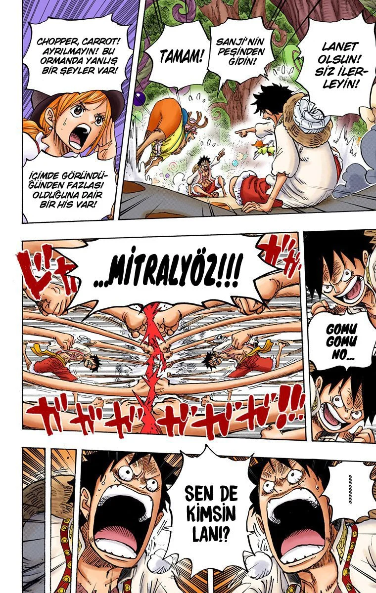 One Piece - Bölüm 831 - Sayfa 14