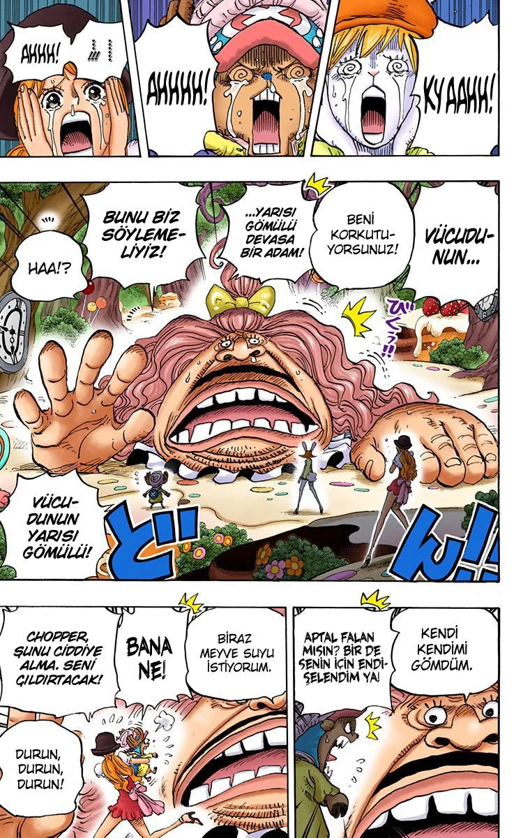 One Piece - Bölüm 831 - Sayfa 15