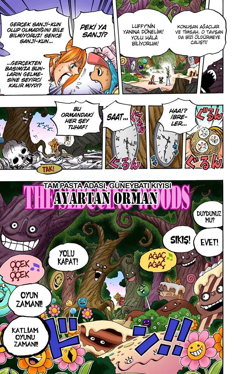 One Piece - Bölüm 831 - Sayfa 17