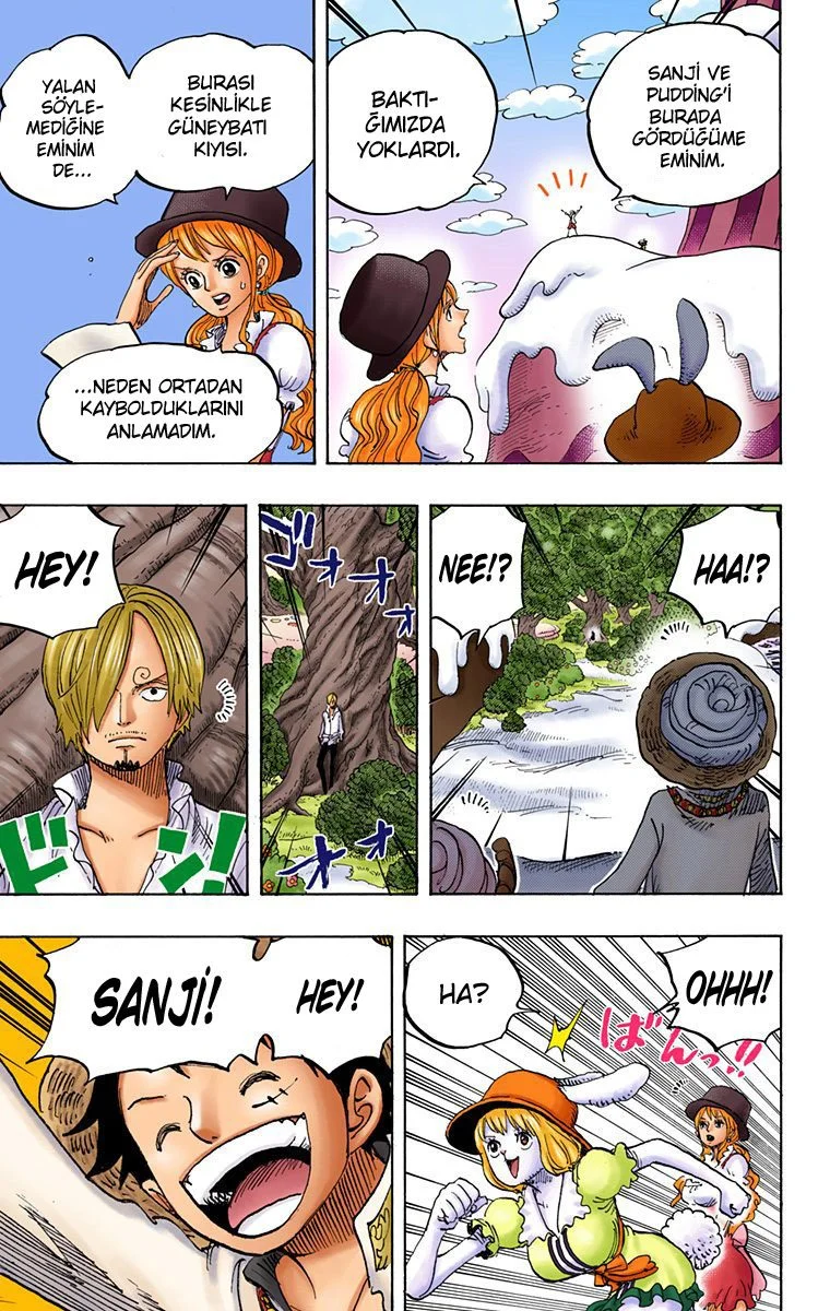 One Piece - Bölüm 831 - Sayfa 5