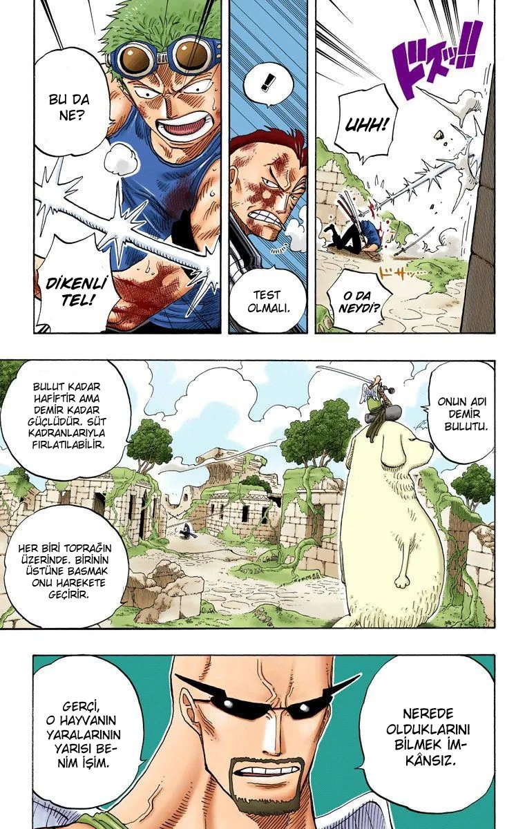 One Piece - Bölüm 268 - Sayfa 13