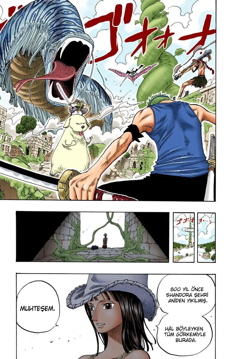 One Piece - Bölüm 268 - Sayfa 17