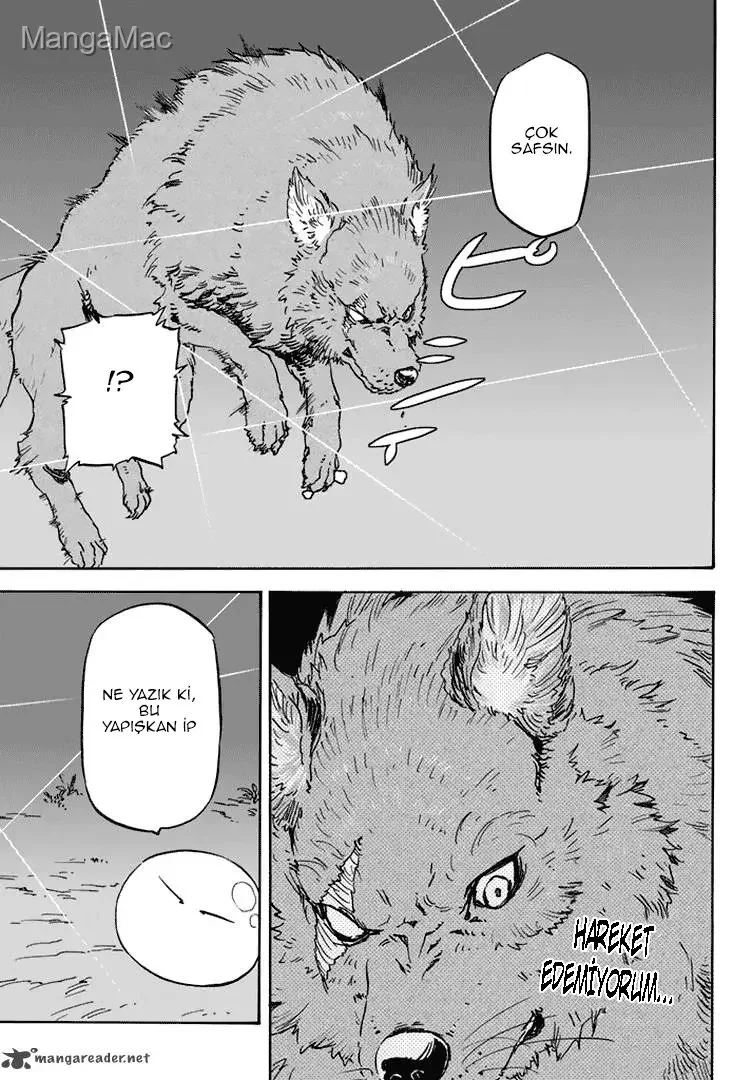 That Time I Got Reincarnated as a Slime - Bölüm 2 - Sayfa 15
