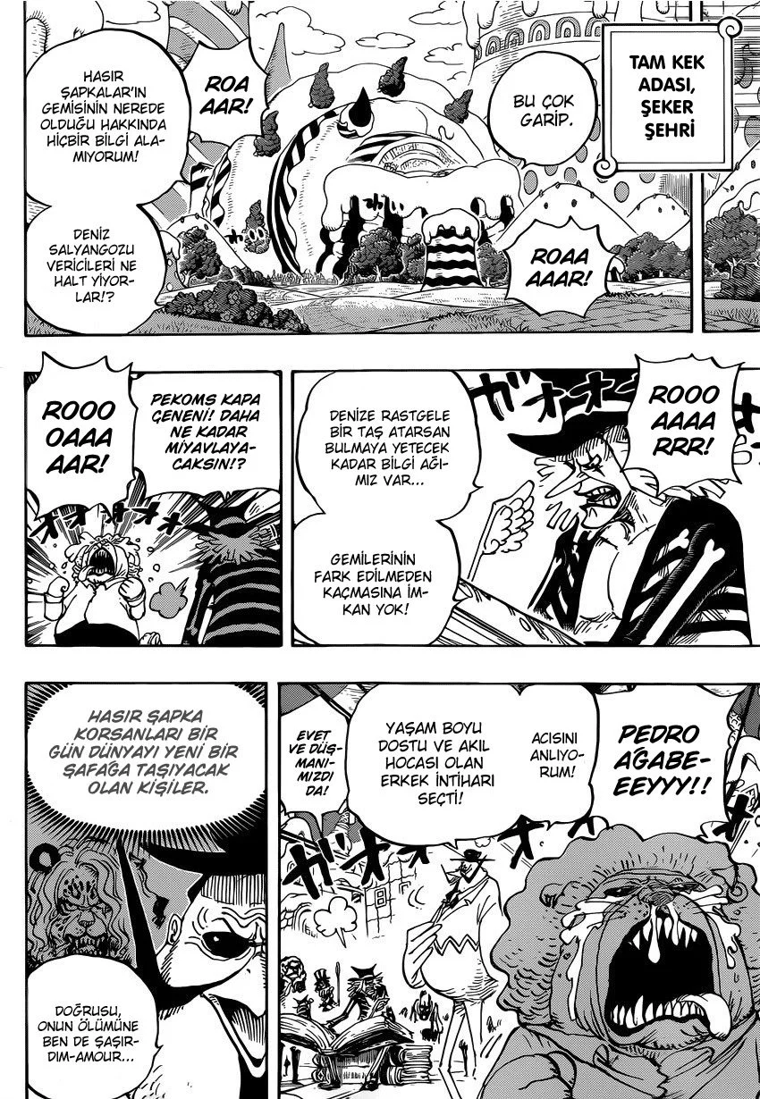 One Piece - Bölüm 882 - Sayfa 11