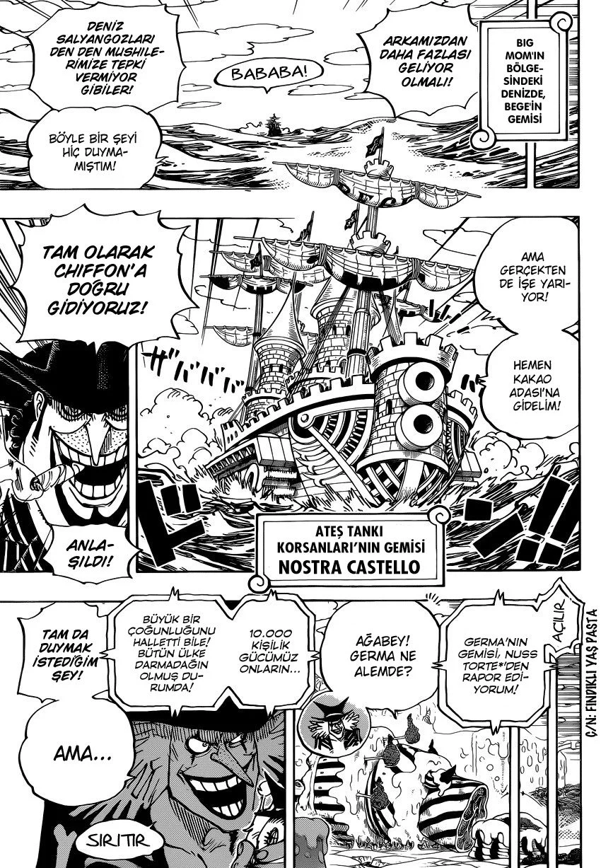 One Piece - Bölüm 882 - Sayfa 14