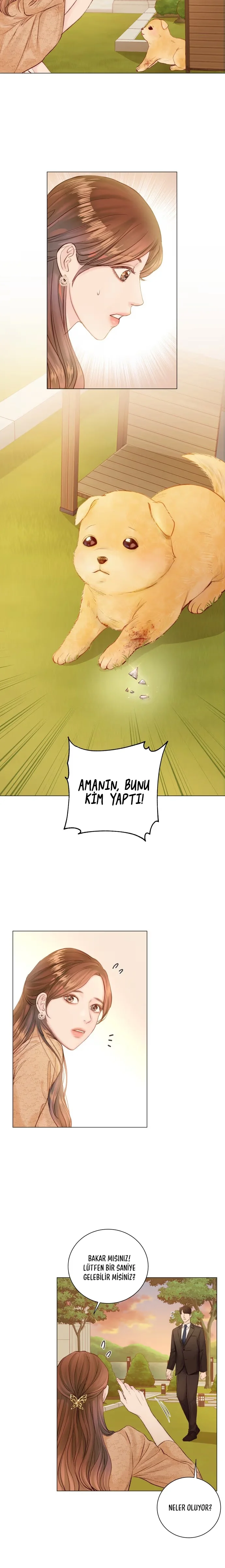 There Must Be Happy Endings - Bölüm 1 - Sayfa 22