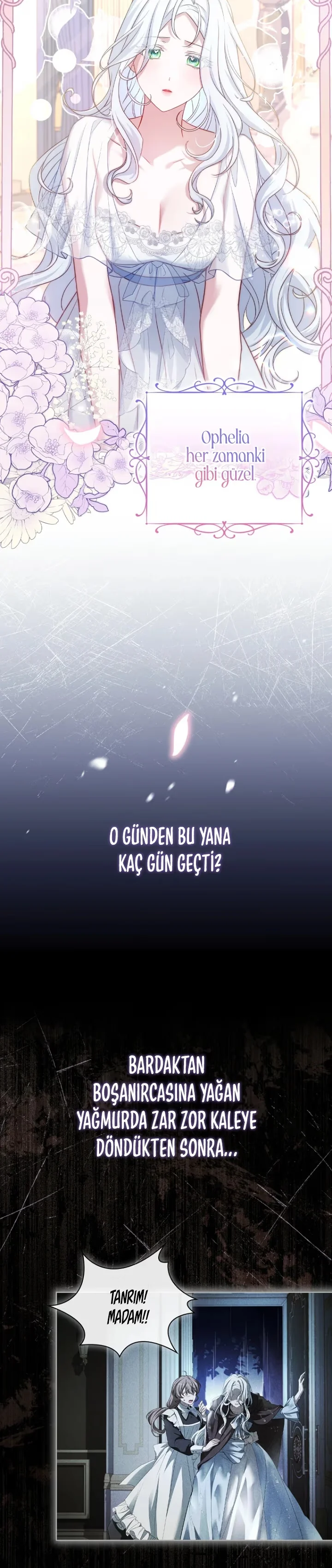 Honey, Why Can't We Get a Divorce? - Bölüm 2 - Sayfa 4