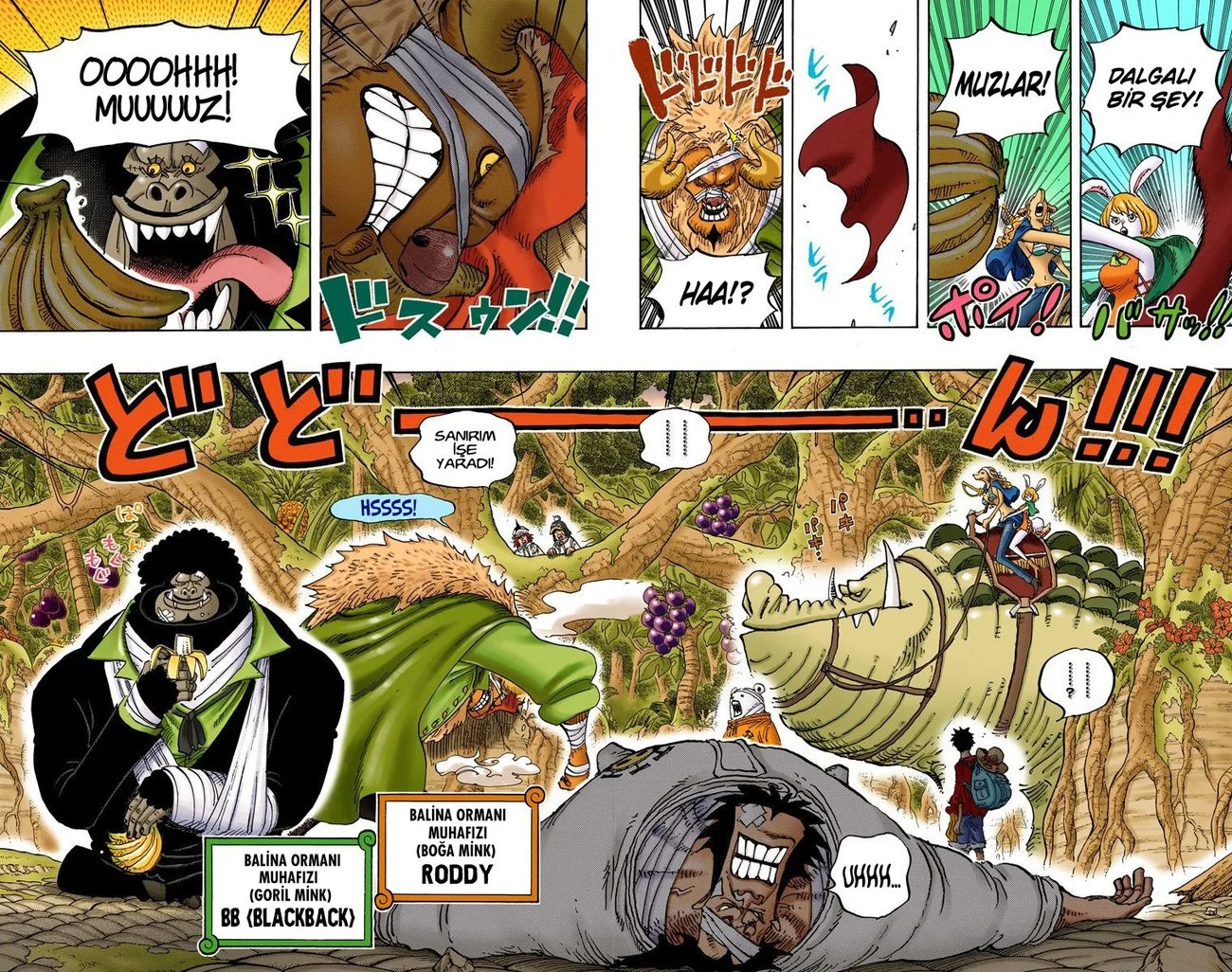 One Piece - Bölüm 805 - Sayfa 10