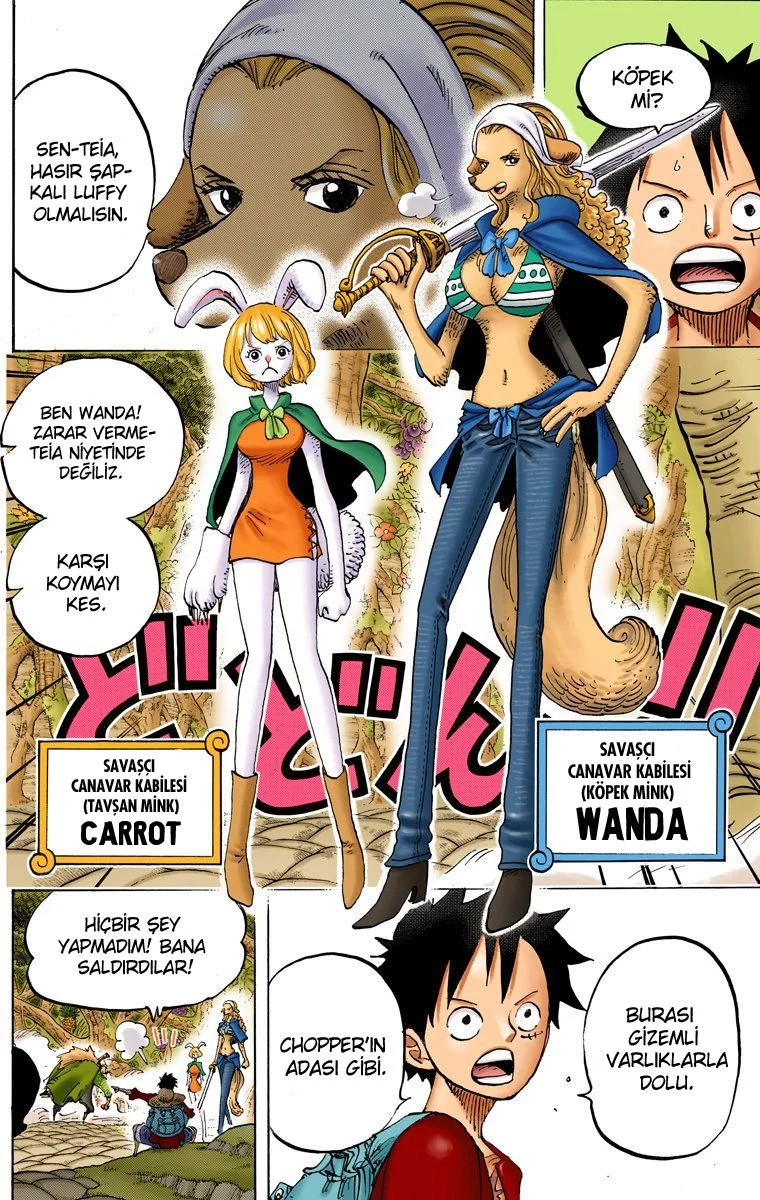 One Piece - Bölüm 805 - Sayfa 11