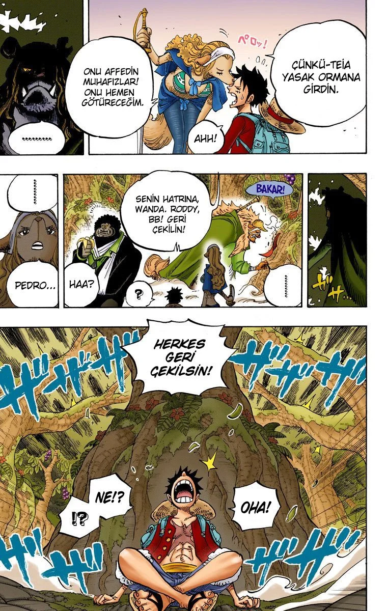 One Piece - Bölüm 805 - Sayfa 12