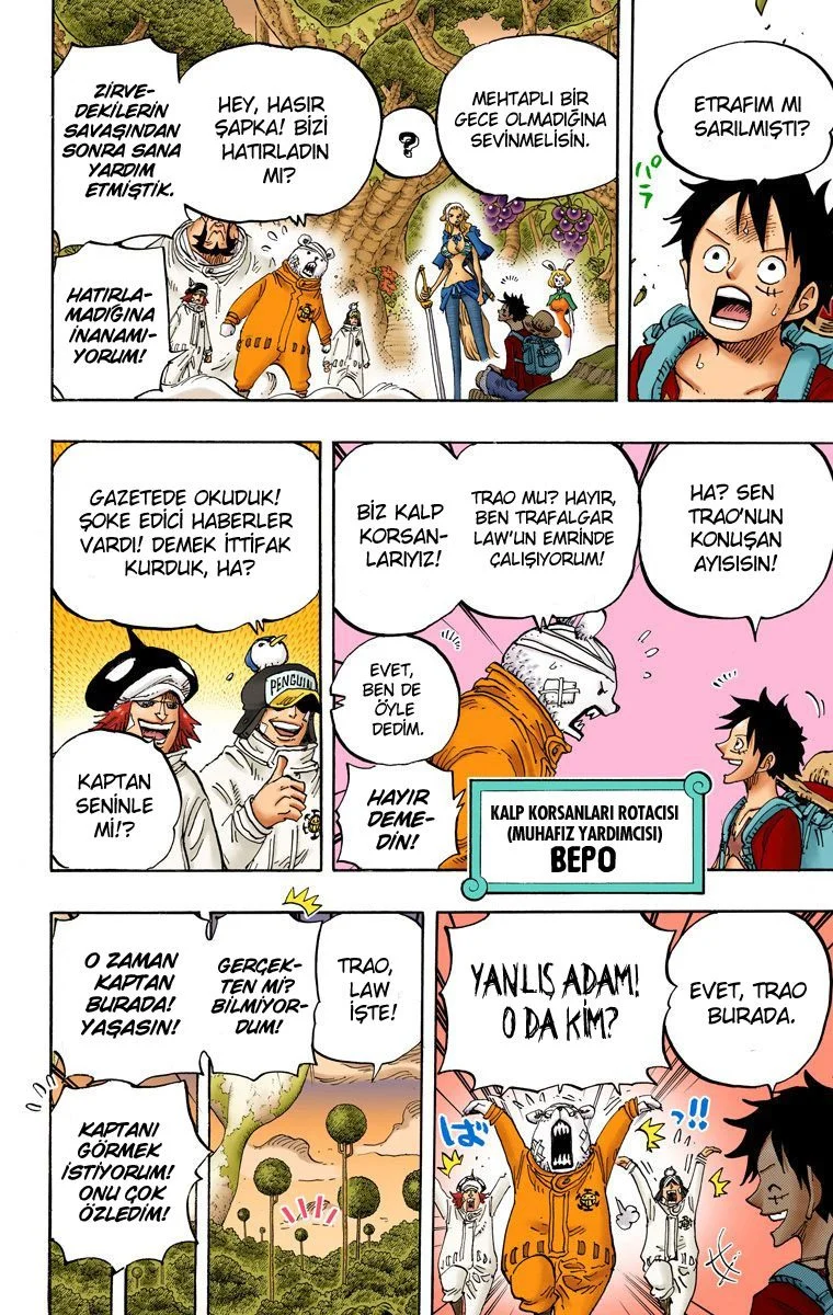 One Piece - Bölüm 805 - Sayfa 13