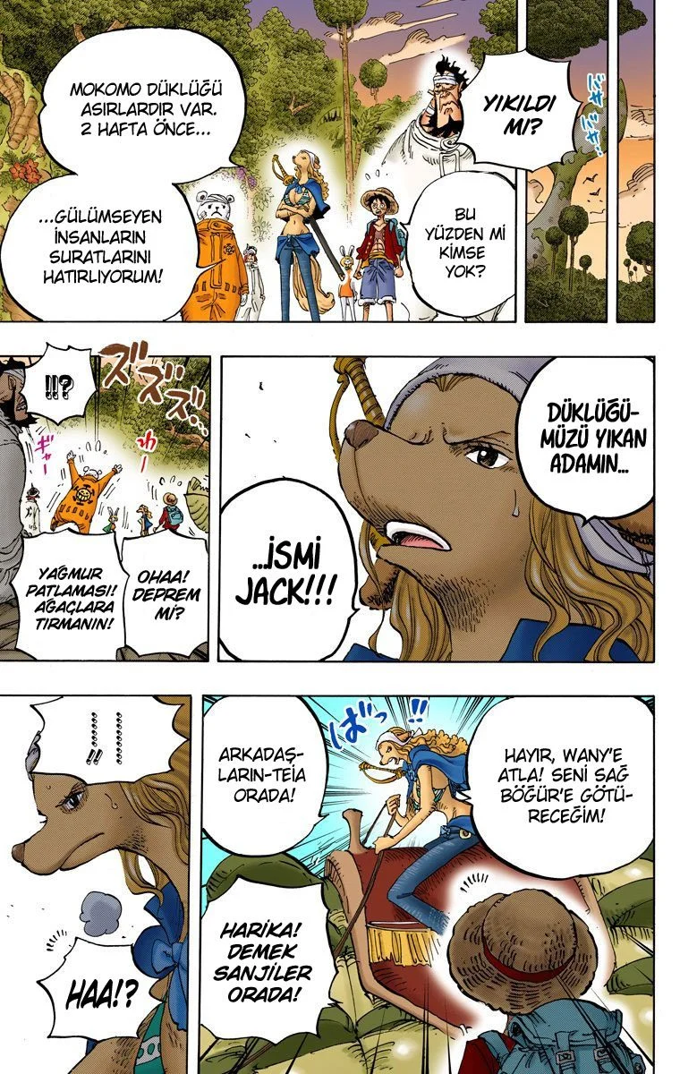 One Piece - Bölüm 805 - Sayfa 16