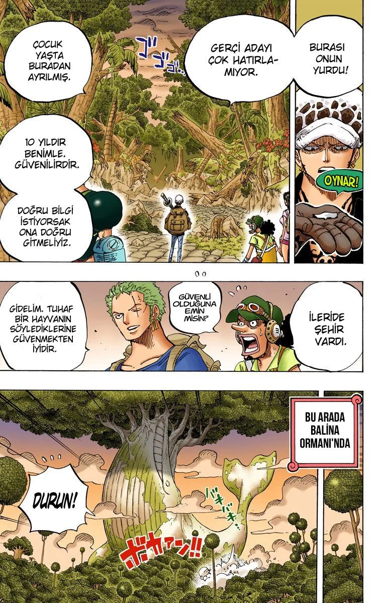 One Piece - Bölüm 805 - Sayfa 7