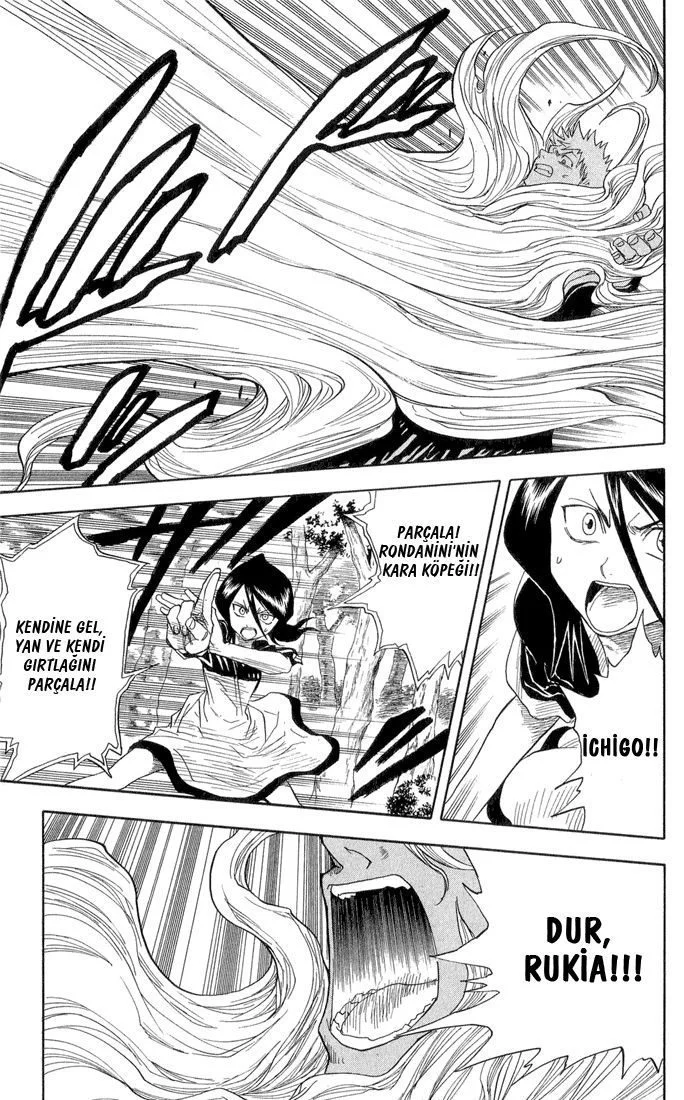 Bleach - Bölüm 21 - Sayfa 17