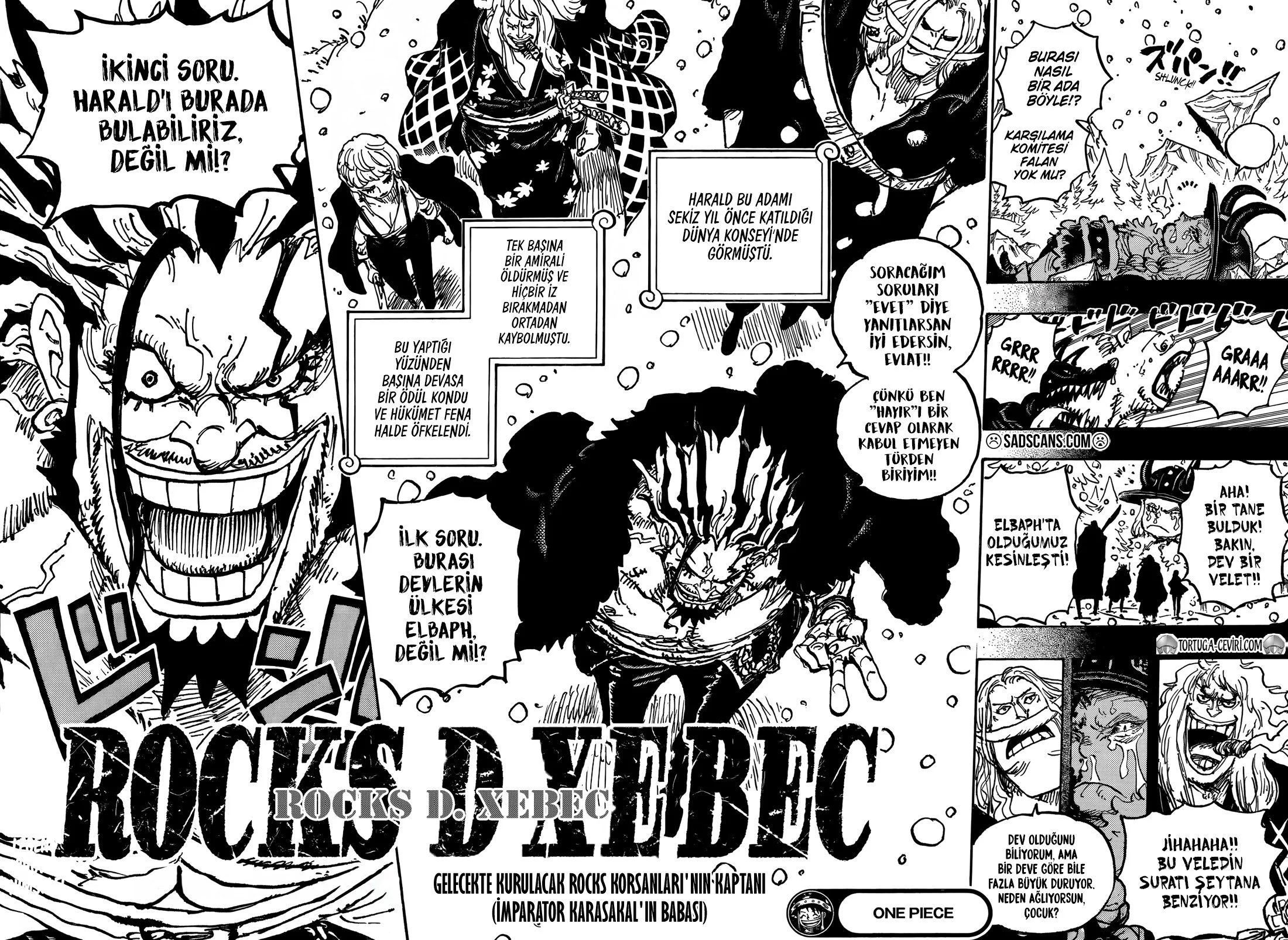 One Piece - Bölüm 1154 - Sayfa 15