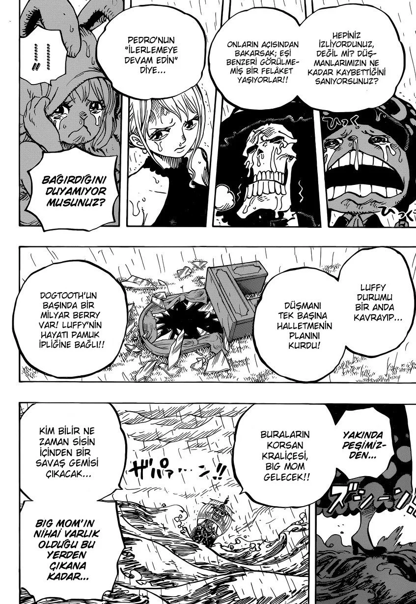 One Piece - Bölüm 879 - Sayfa 4