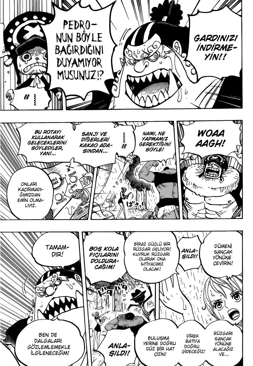 One Piece - Bölüm 879 - Sayfa 5