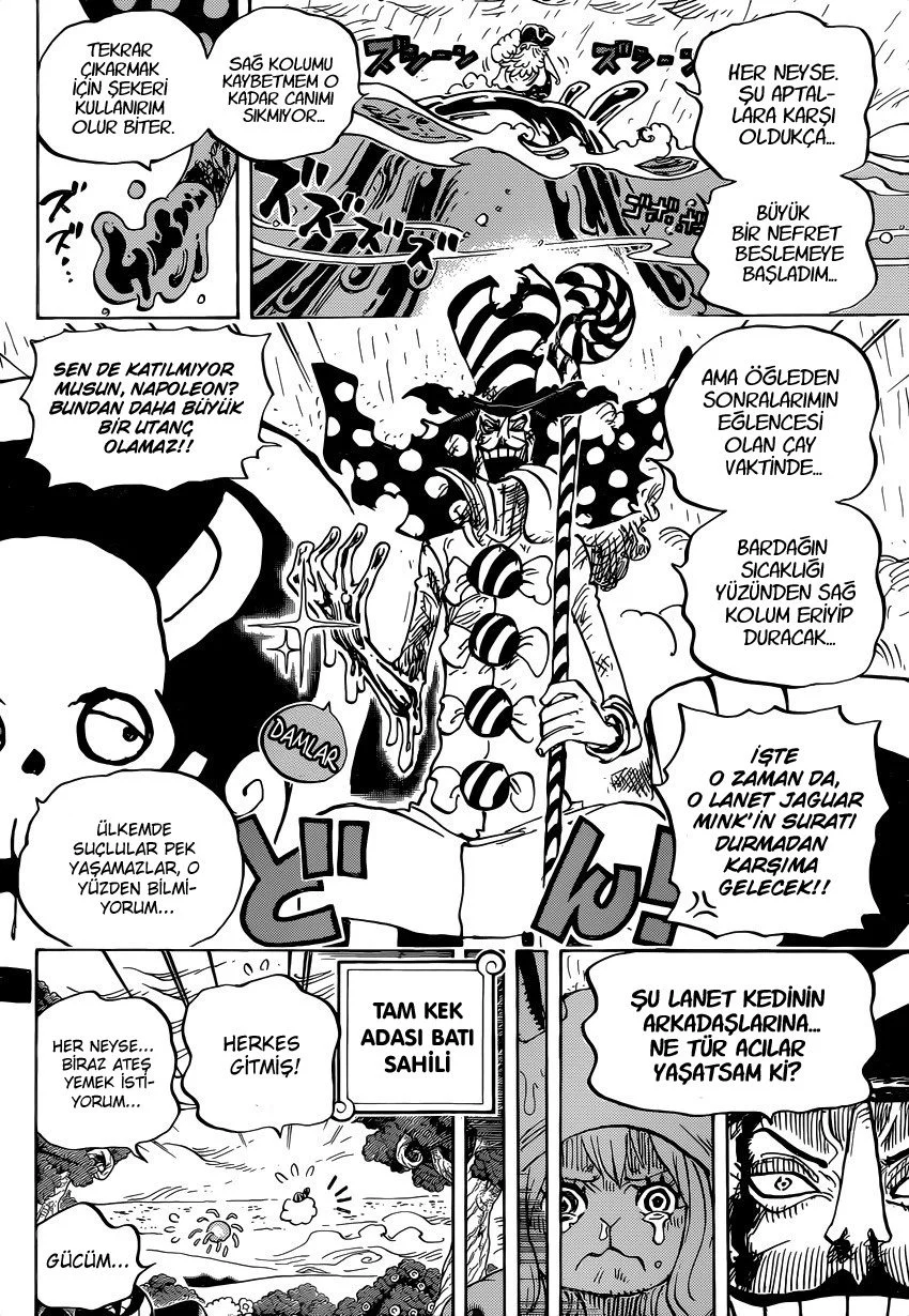 One Piece - Bölüm 879 - Sayfa 8