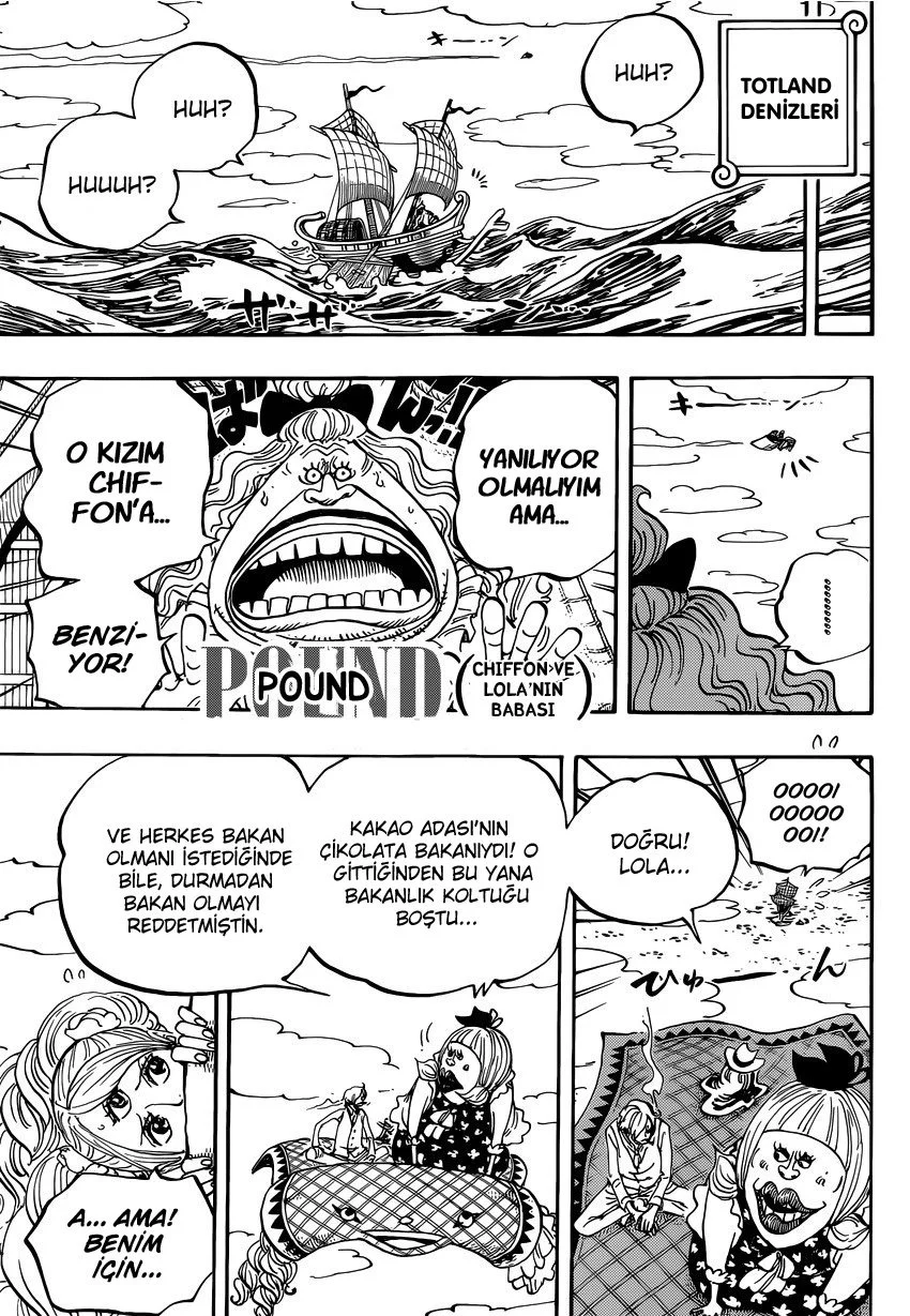 One Piece - Bölüm 879 - Sayfa 9