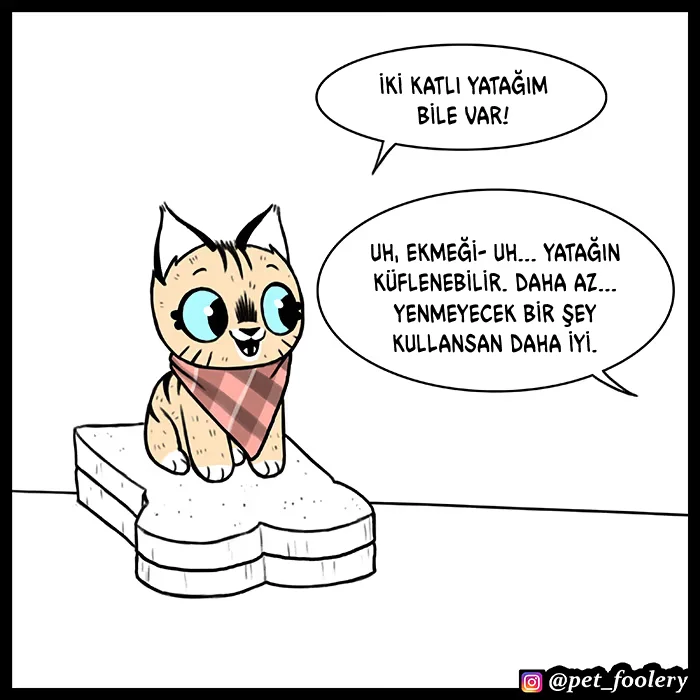 Pixie and Brutus - Bölüm 51 - Sayfa 5