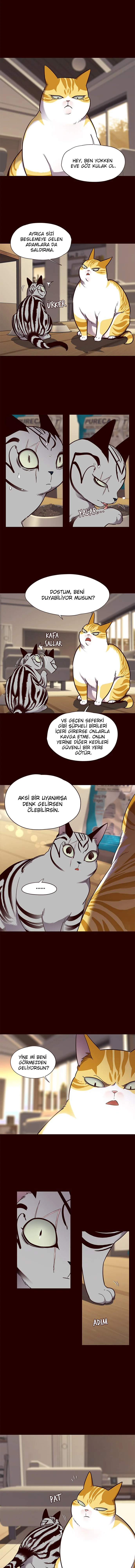 Eleceed - Bölüm 67 - Sayfa 6