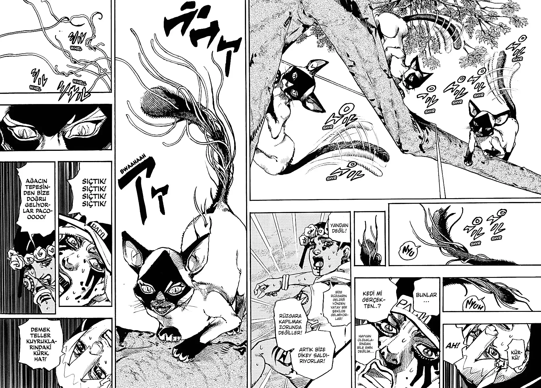 JoJo's Bizarre Adventure Part 9: The JOJOLands - Bölüm 7 - Sayfa 12