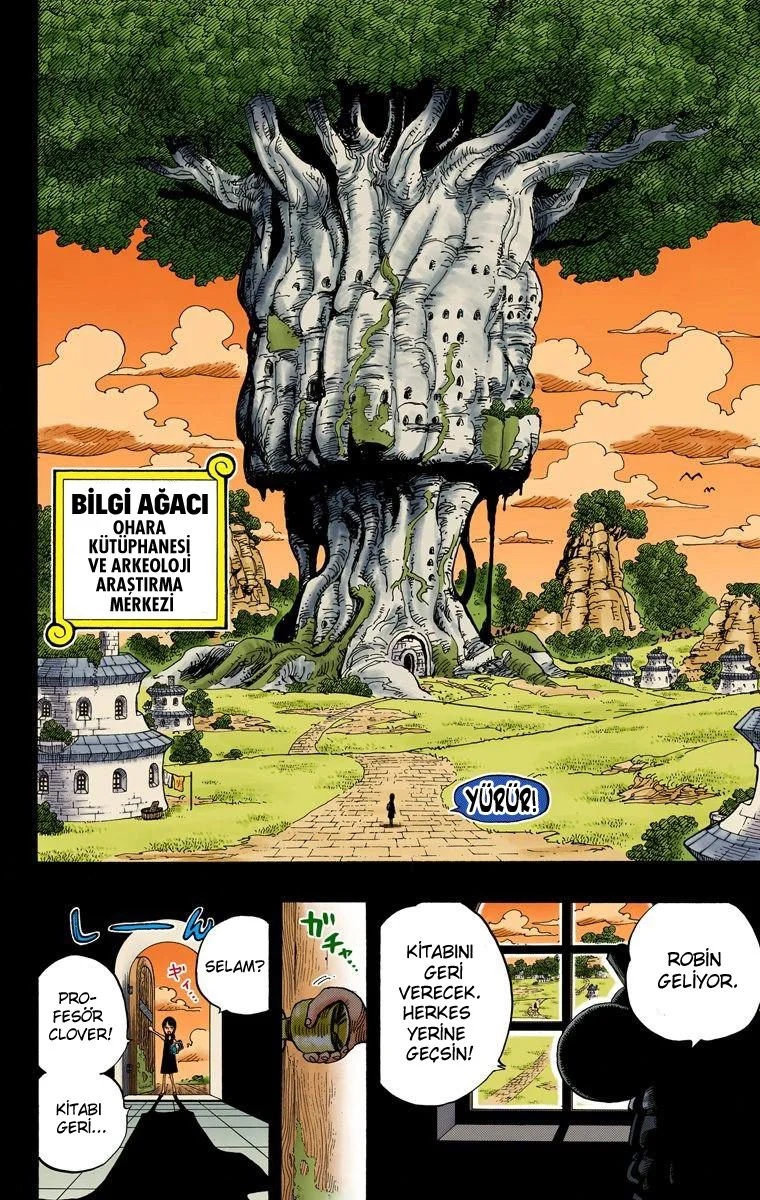 One Piece - Bölüm 391 - Sayfa 17