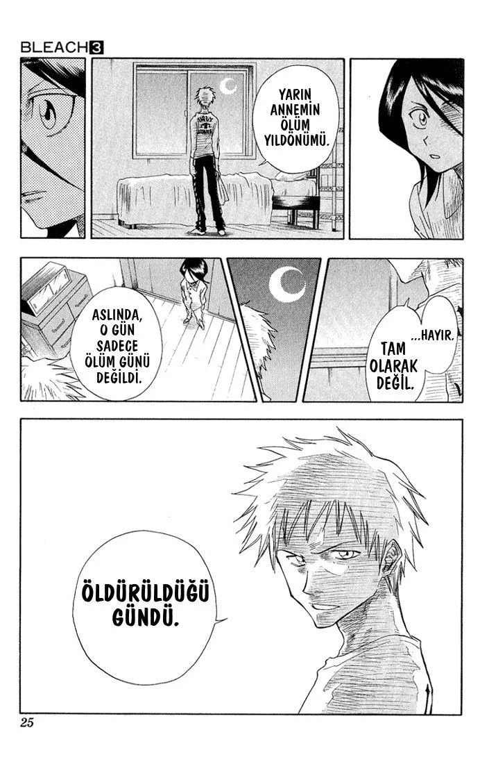 Bleach - Bölüm 17 - Sayfa 20