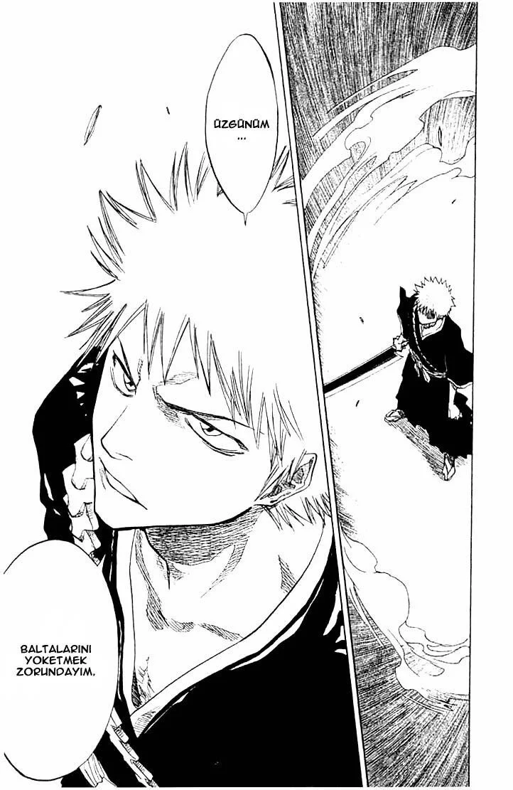 Bleach - Bölüm 73 - Sayfa 15