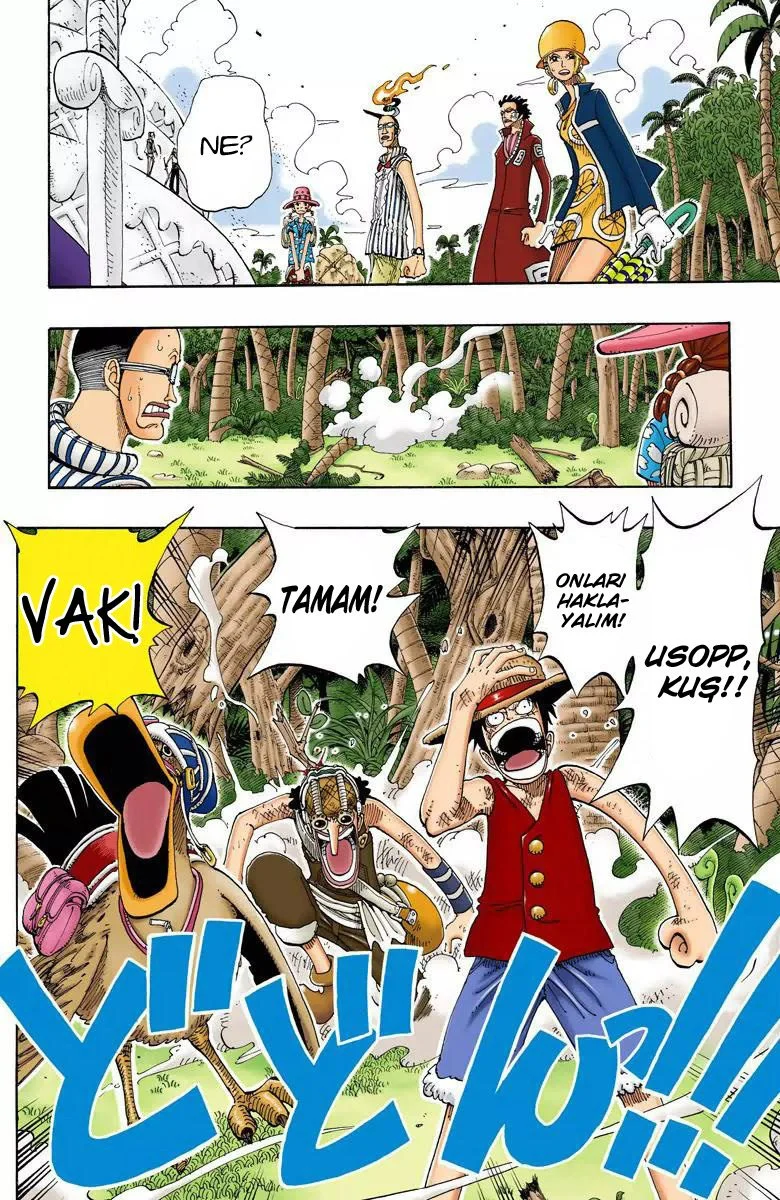 One Piece - Bölüm 122 - Sayfa 16