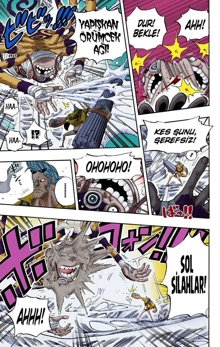 One Piece - Bölüm 454 - Sayfa 14