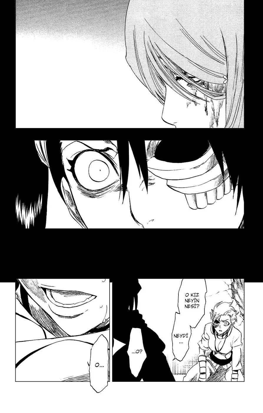 Bleach - Bölüm 274 - Sayfa 13