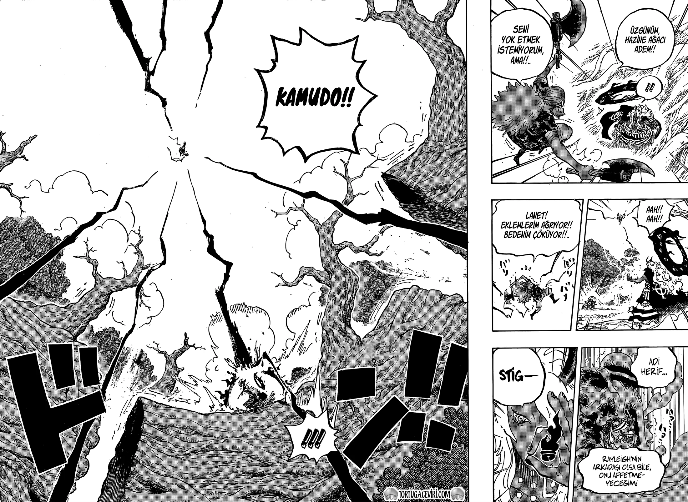 One Piece - Bölüm 1190 - Sayfa 12