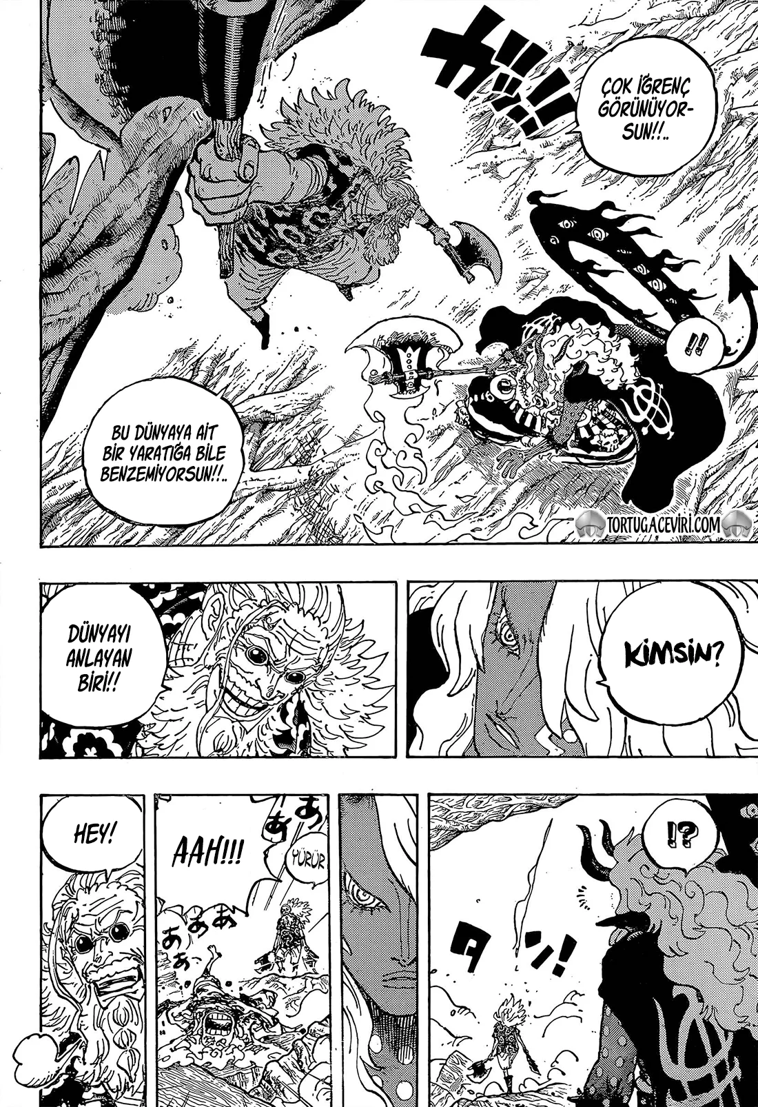 One Piece - Bölüm 1190 - Sayfa 4