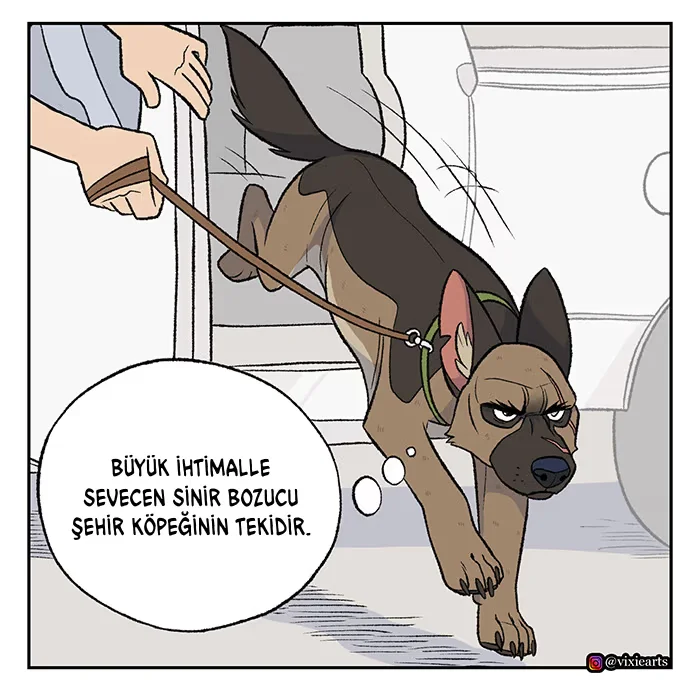 Pixie and Brutus - Bölüm 57 - Sayfa 4