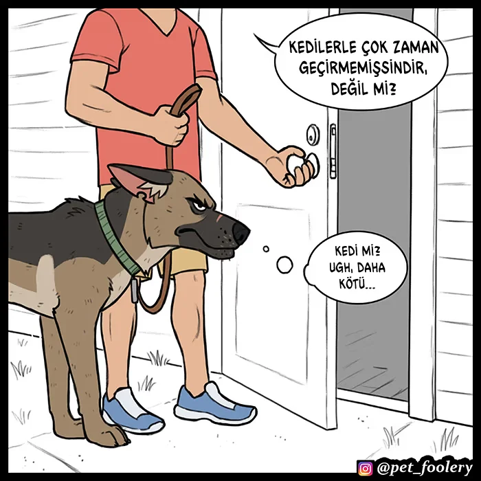 Pixie and Brutus - Bölüm 57 - Sayfa 5