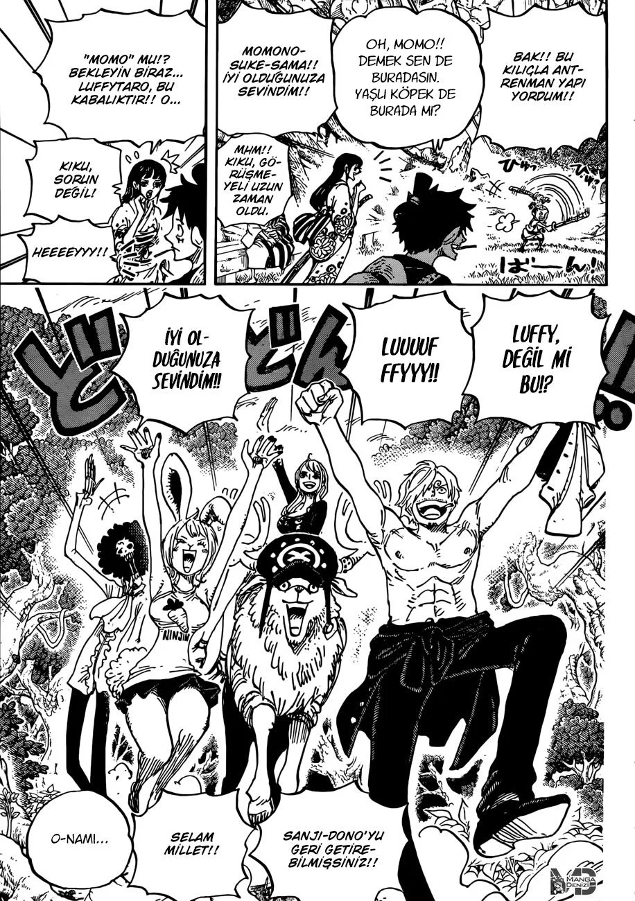 One Piece - Bölüm 919 - Sayfa 13