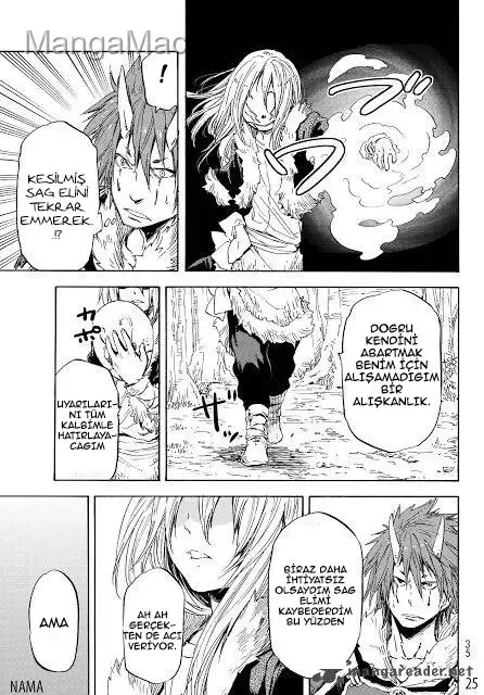That Time I Got Reincarnated as a Slime - Bölüm 13 - Sayfa 28