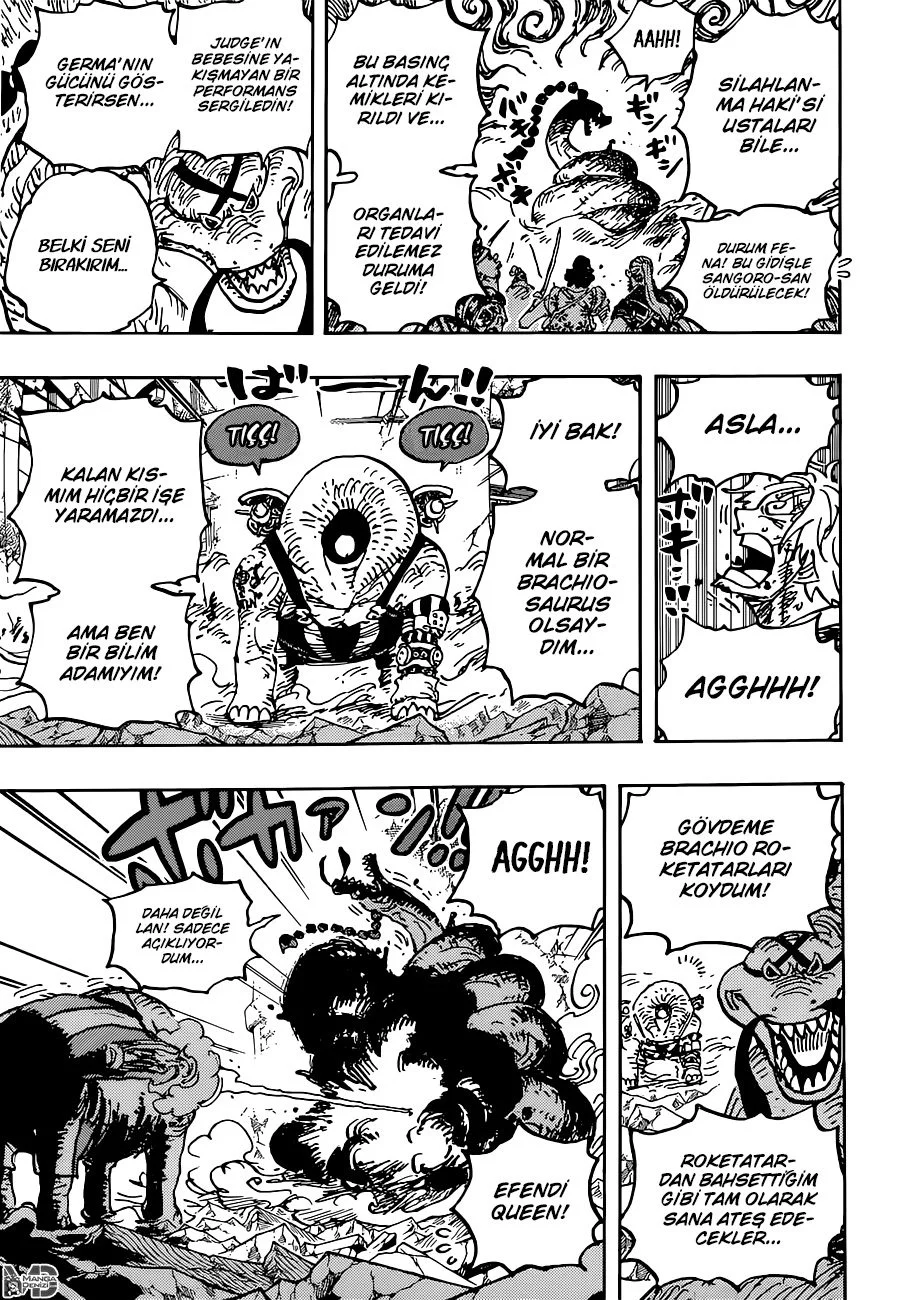 One Piece - Bölüm 1028 - Sayfa 14