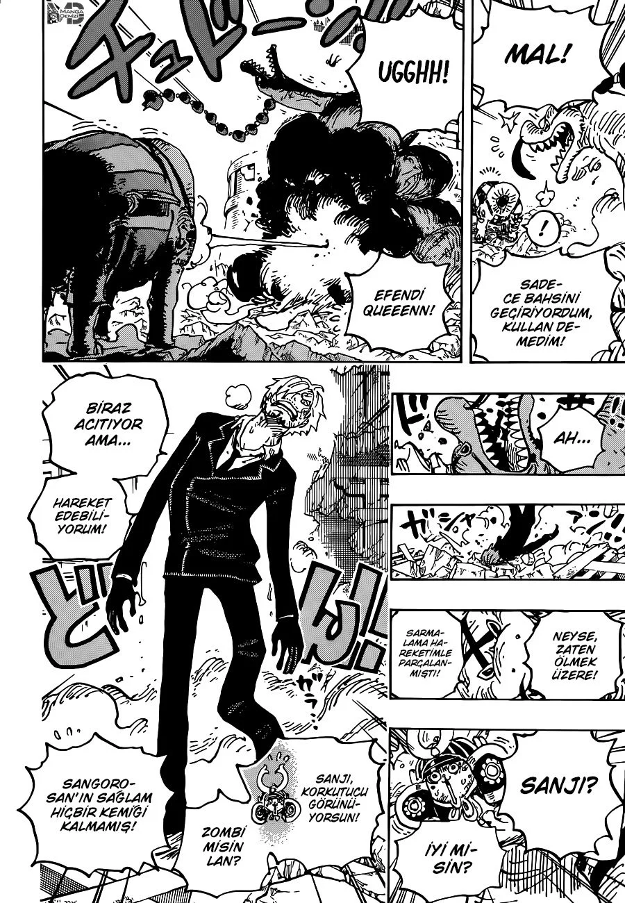 One Piece - Bölüm 1028 - Sayfa 15