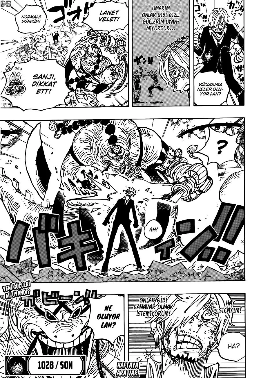 One Piece - Bölüm 1028 - Sayfa 16