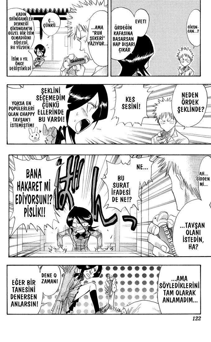 Bleach - Bölüm 13 - Sayfa 15