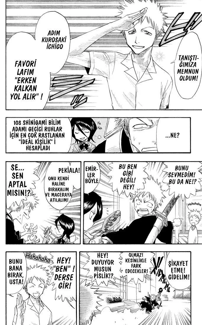 Bleach - Bölüm 13 - Sayfa 17
