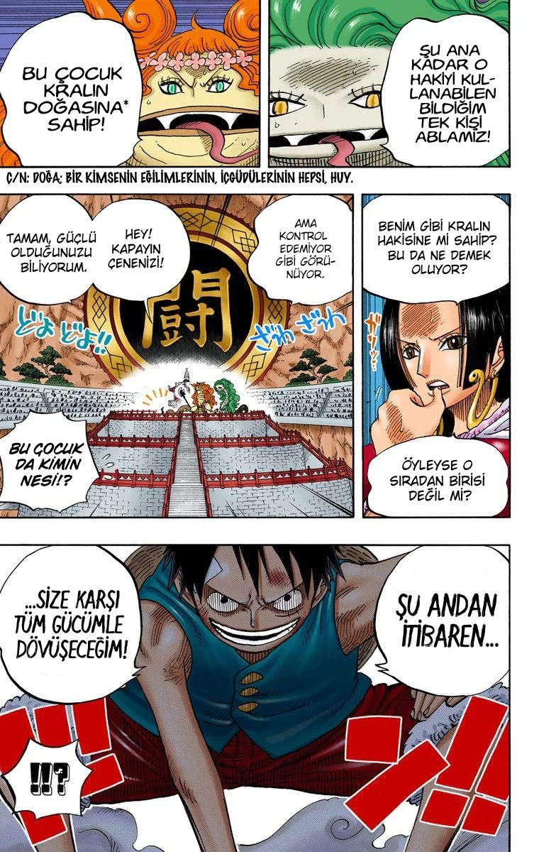 One Piece - Bölüm 519 - Sayfa 19