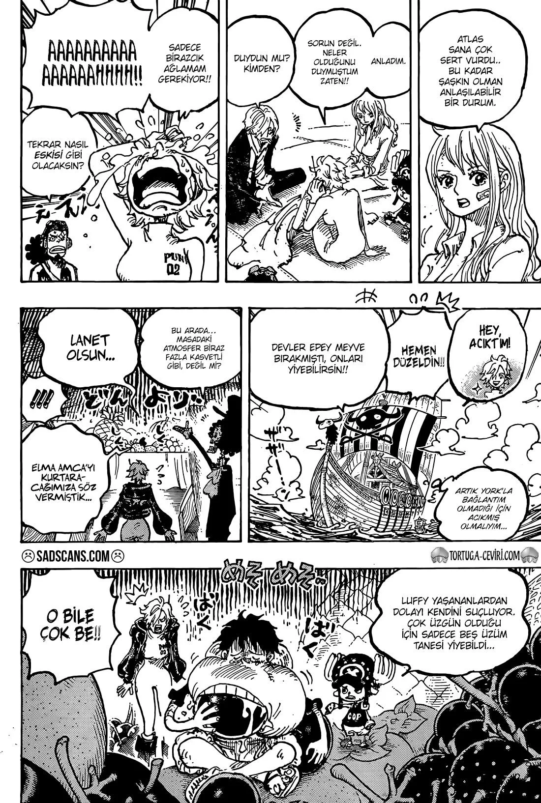 One Piece - Bölüm 1124 - Sayfa 10