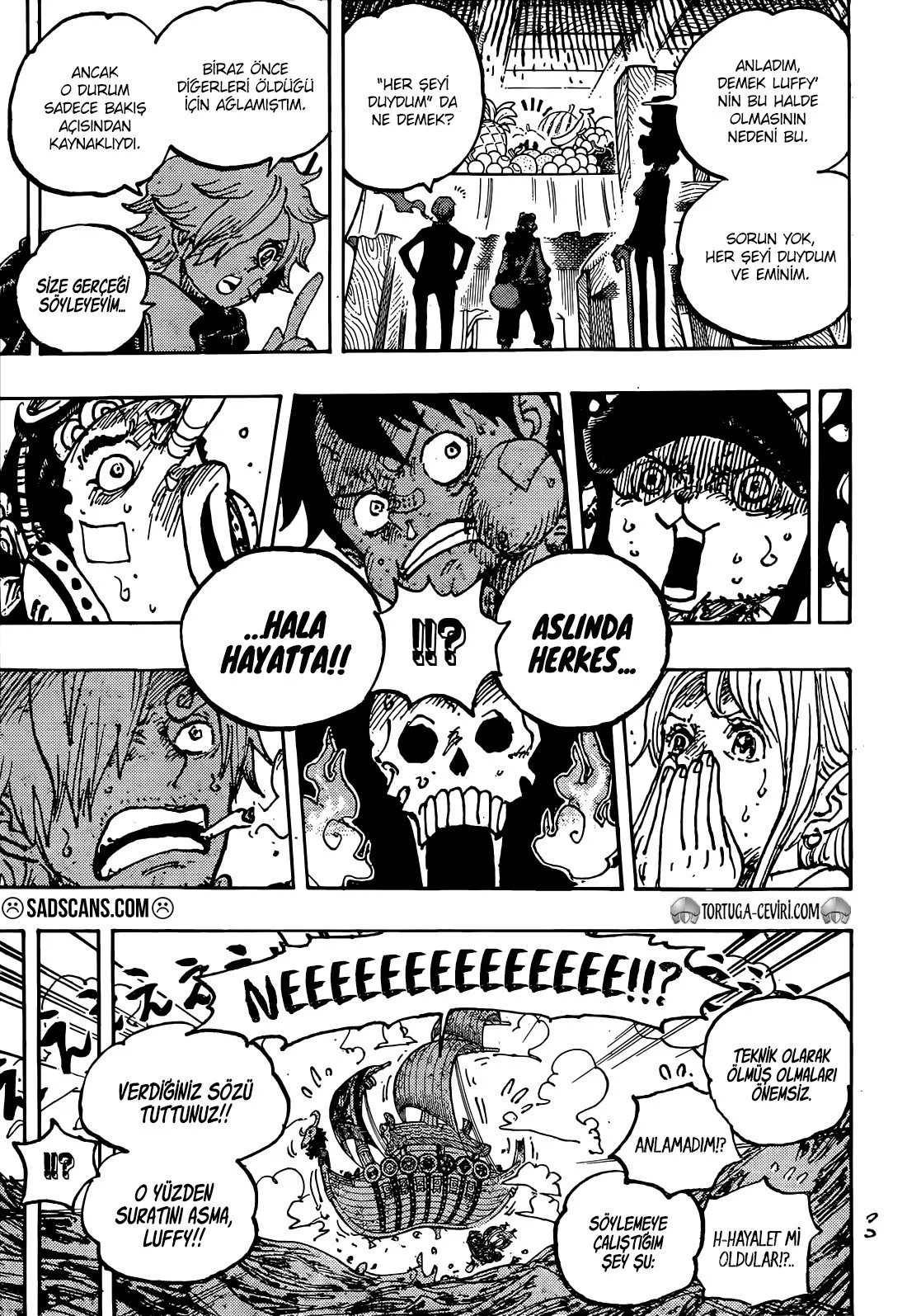 One Piece - Bölüm 1124 - Sayfa 11