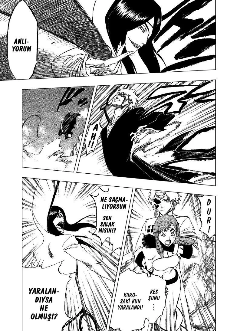 Bleach - Bölüm 288 - Sayfa 16