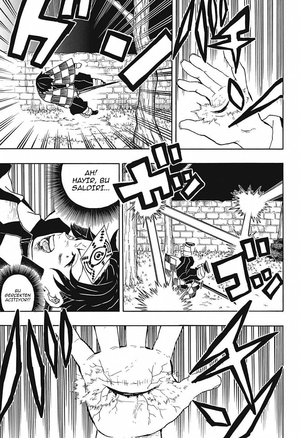 Demon Slayer: Kimetsu no Yaiba - Bölüm 17 - Sayfa 10