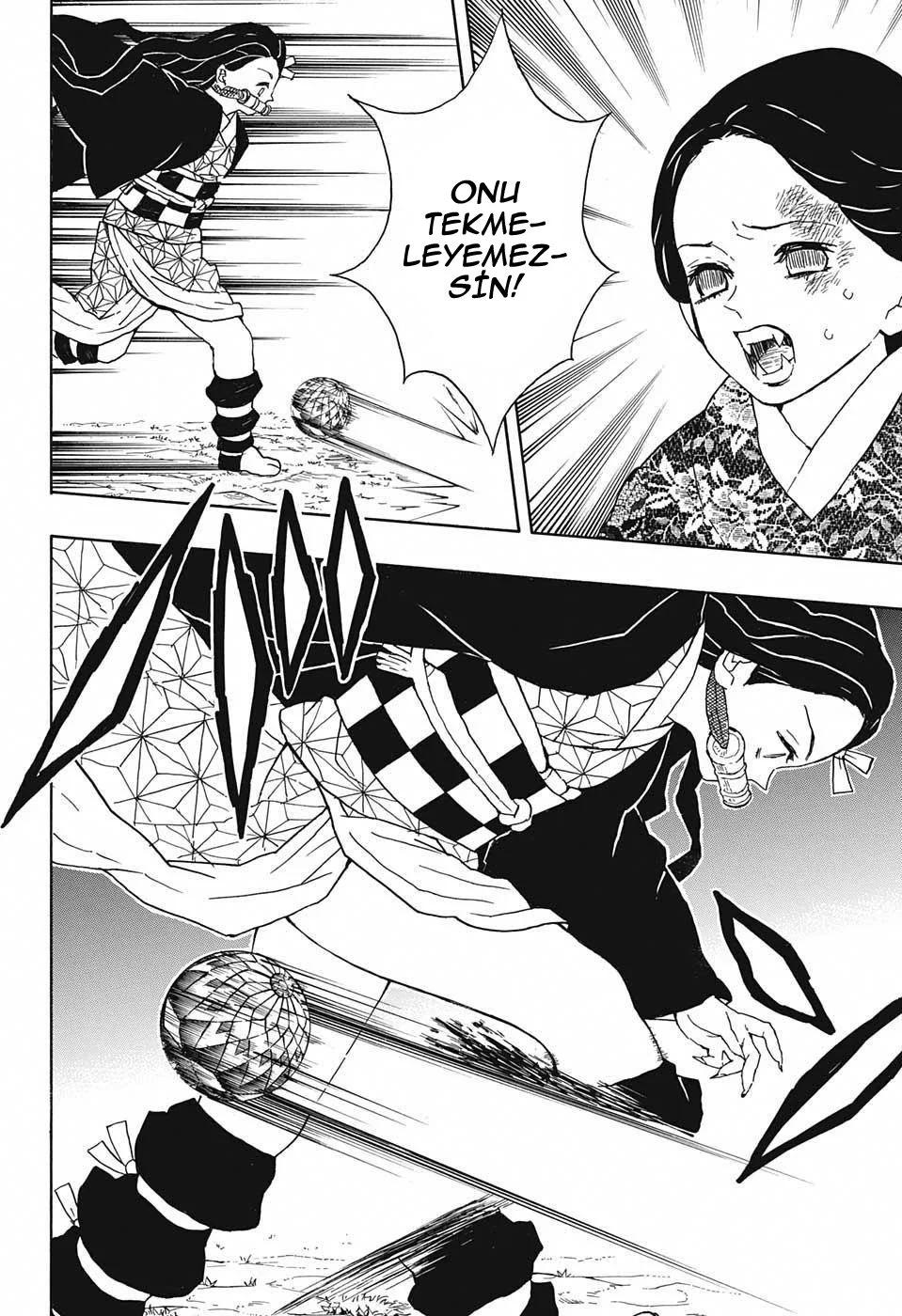 Demon Slayer: Kimetsu no Yaiba - Bölüm 17 - Sayfa 13