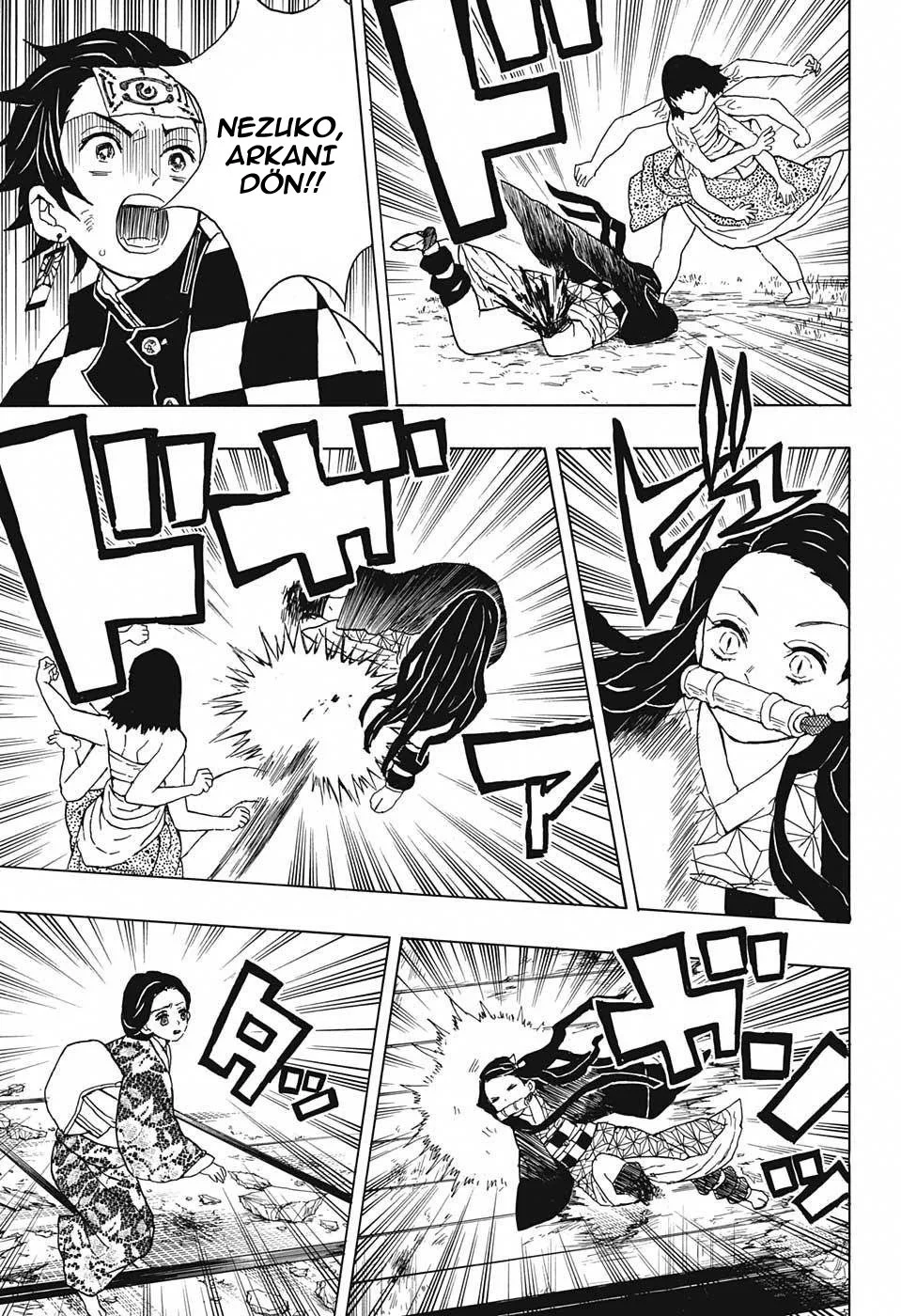 Demon Slayer: Kimetsu no Yaiba - Bölüm 17 - Sayfa 14
